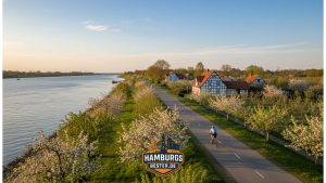Fahrradfahren durchs Alte Land: Dein ultimativer Guide für unvergessliche Touren 2025