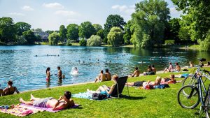 Stadtparksee Schwimmen (Sommer): Dein ultimativer Guide für Hamburgs blaues Herz im Sommer